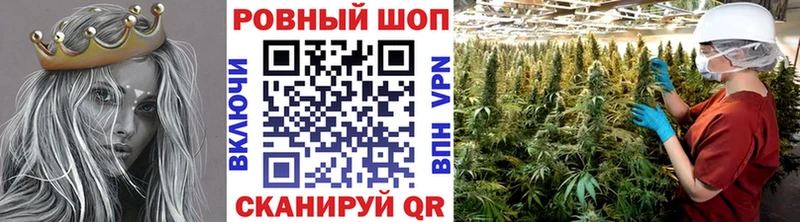 МЕТАДОН Вязьма