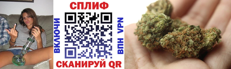 Купить закладки  Вязьма  МАРИХУАНА индика 